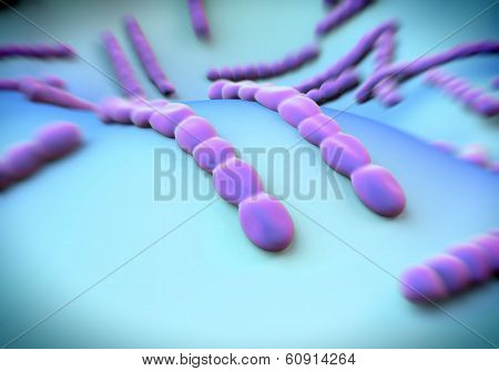 Streptococcus pneumoniae, bacteria artwork