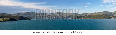 Coastline At Akaroa In New Zealand