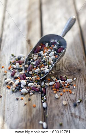 Mix Of Beans And Lentil