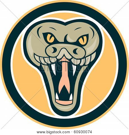 Rattle Snake Head Front Retro