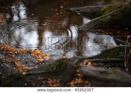Raindrop in a puddle - colour.