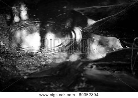 Raindrop hitting puddle