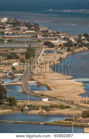 View Of A Paddy Field In Delta De L'ebre, Catalonia, Spain