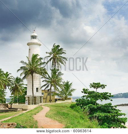 Lighthouse and palm trees on background sky.                                    