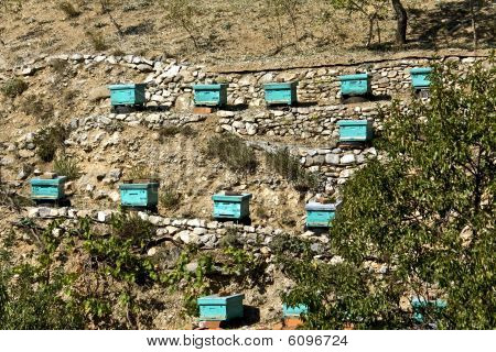 Apiary beehives in Greece