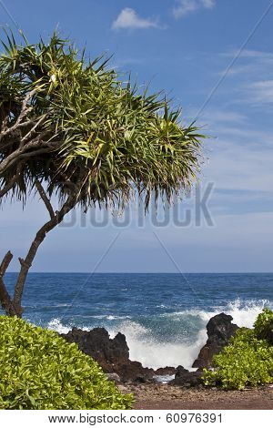 Keanae Peninsula on Maui is a popular stop on the Road to Hana.