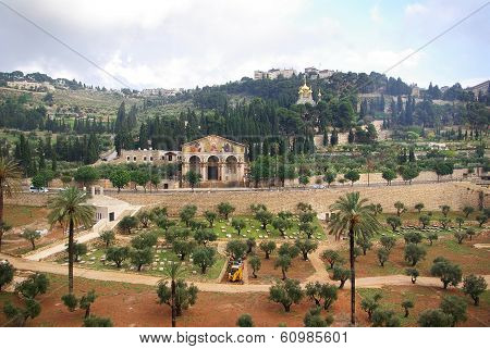 Church Of All Nations And Mount Of Olives