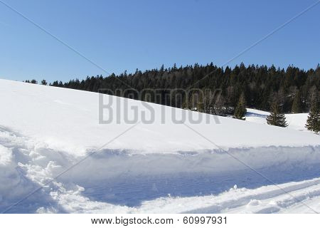 Winter landscape