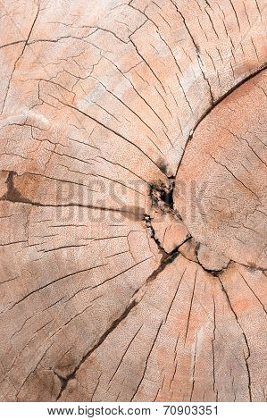 Wooden Texture Background