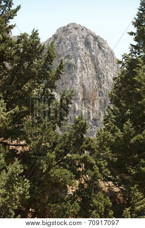 Peak And Tree At Imbros Gorge. Crete. Greece