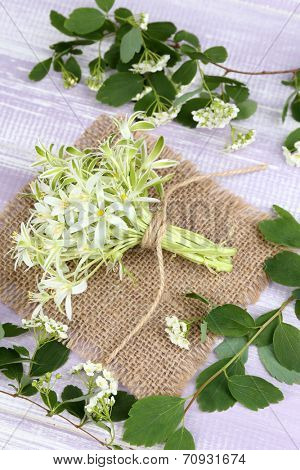 Beautiful spring wildflowers, on wooden background