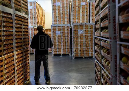 Worker Inspects Products Of Agricultural Cooperative Of Naoussa Greece Stacked In Boxes. The Famous