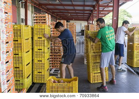 Products Of Agricultural Cooperative Of Naoussa Greece Carried In Boxes. The Famous 