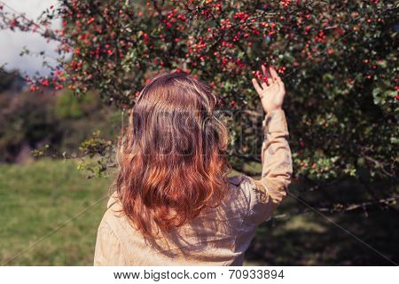 Young Woman Picking Berries