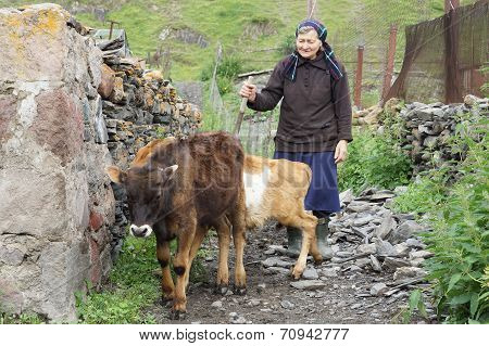 Village, Caucasus Mountains, Georgia