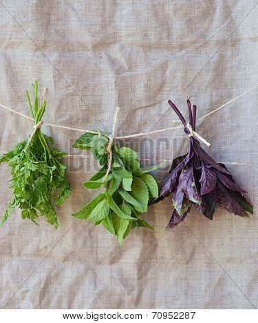 Sweet Herbs