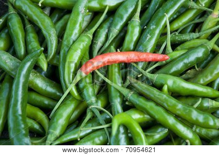 Chillies