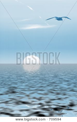 Lokkien ja auringonlasku