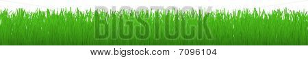 Faixa horizontal de grama - com Clipping Path