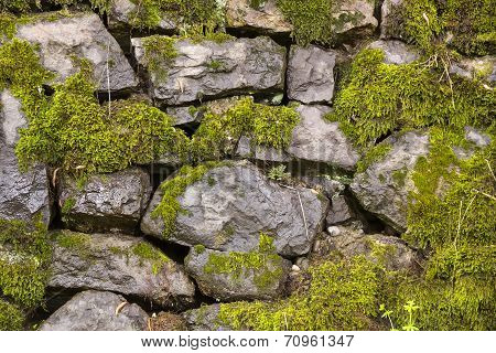 brick background