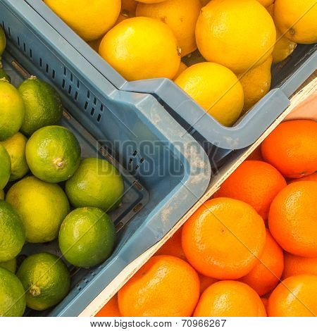 Green, Yellow and Orange
