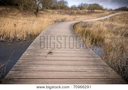 Road to nowhere