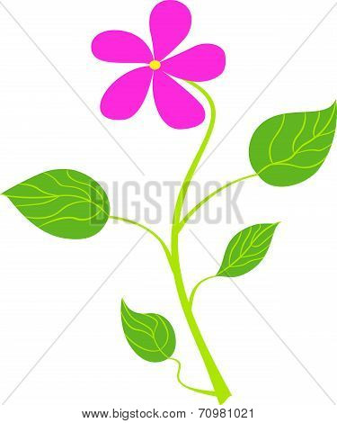 Flower art