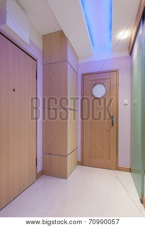 Anteroom With Modern Neon Lighting