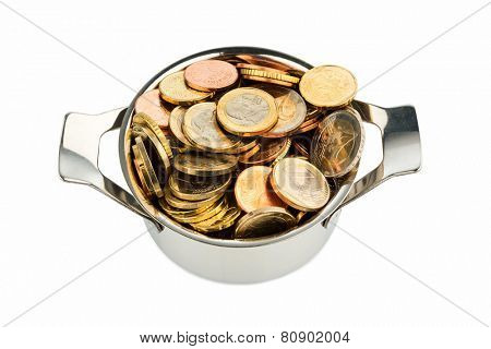 a pot is filled with euro coins photo icon for government grants and subsidies