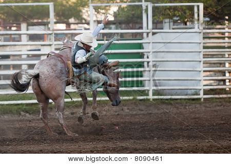 Willits, CA-juli 03: Deelnemers van de vierde van juli viering Willits Frontier dagen rodeo.