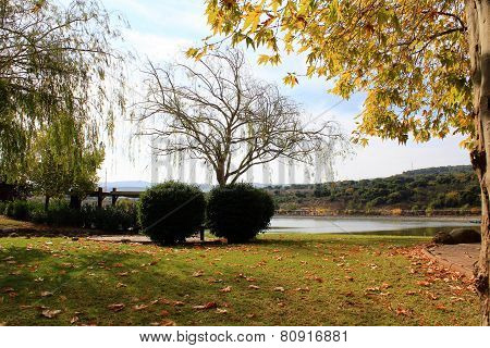 Autumn on the Lake