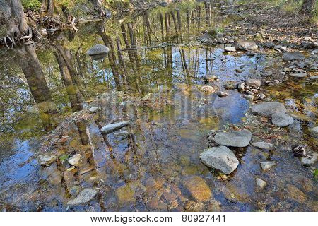 Reflection On River