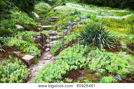 Stony Path And Stairs In The Green Garden