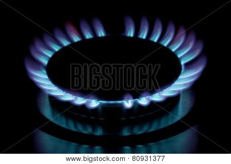 Gas Burner Flame