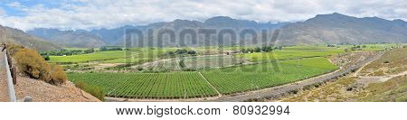 Panoramic View Of The Hex River Valley