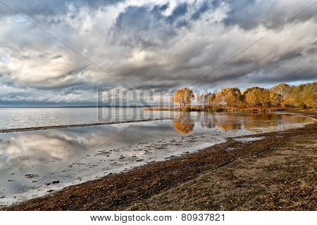 Coast And Fall