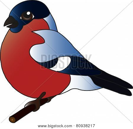 bird, bullfinch