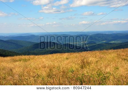 Bieszczady Mountains, Polonina Wetlinska