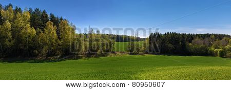 Panoramic Landscape