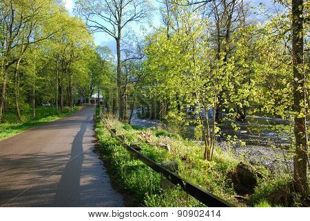 Country Road At Riverside