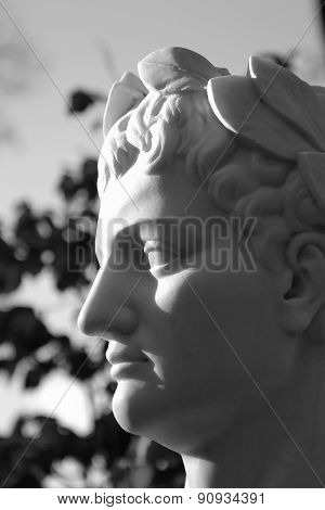 Statue Of Titus Flavius Vespasianus. The Roman Emperor.