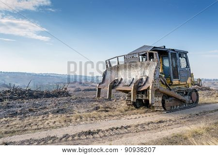 Wood Piles