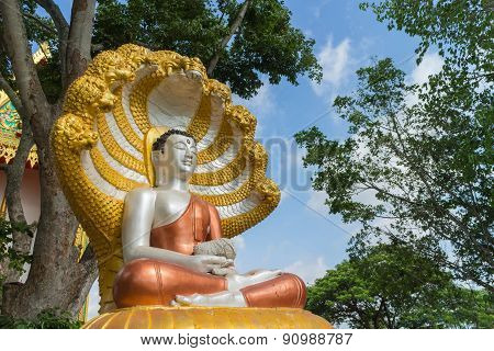 Buddha satue sitting with king of naga