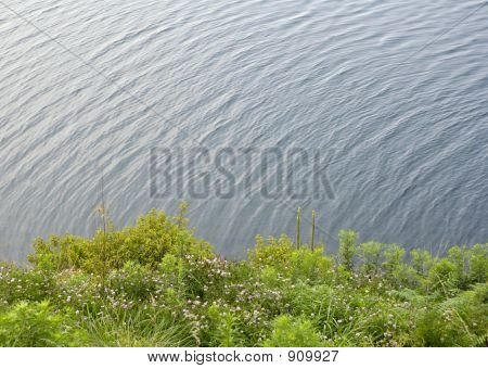 Bordo laghetto