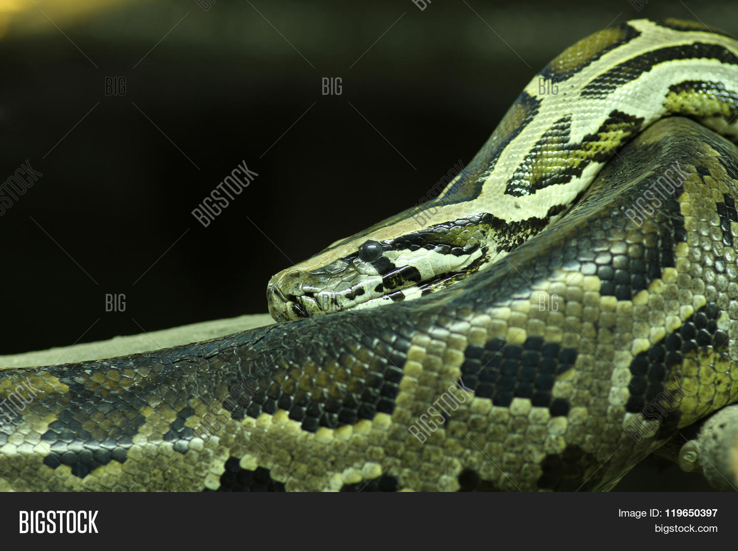 Image Preview