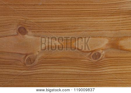 Realistic Wood Veneer With Interesting Growth Rings