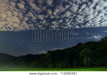 Beautiful night sky Constellation of Orion, green forest, white clouds, starry night, fog