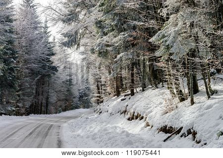 Greasy Winter Road In Beautiful Forest