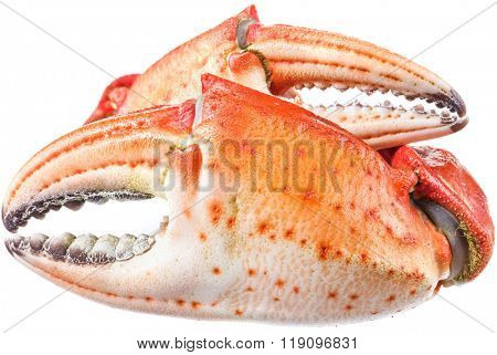 Cooked crab claws. File contains clipping paths.