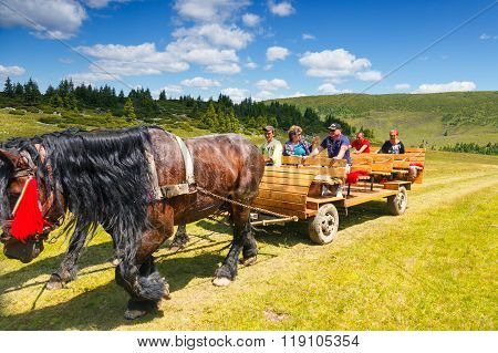 Rodna Mountains, Romania, 05 July 2015: Group Of Tourists Riding A Horse Cart In The Rodna Mountains